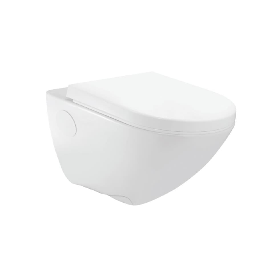 Фото Rimless Wall Hung WC