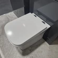 Фото Jaquar Continental Back To Wall Toilet With Soft Close Seat CNS-WHT-955P180UFSMX