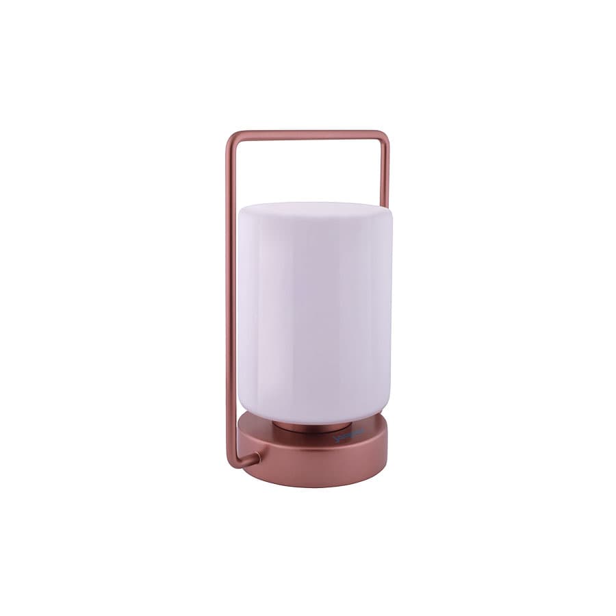 Picture of Table Lamps DTL-COP-TLKS6308T