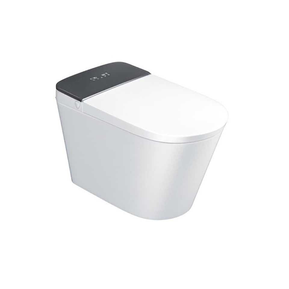 Фото Автоматический безободковый напольный монтаж WC