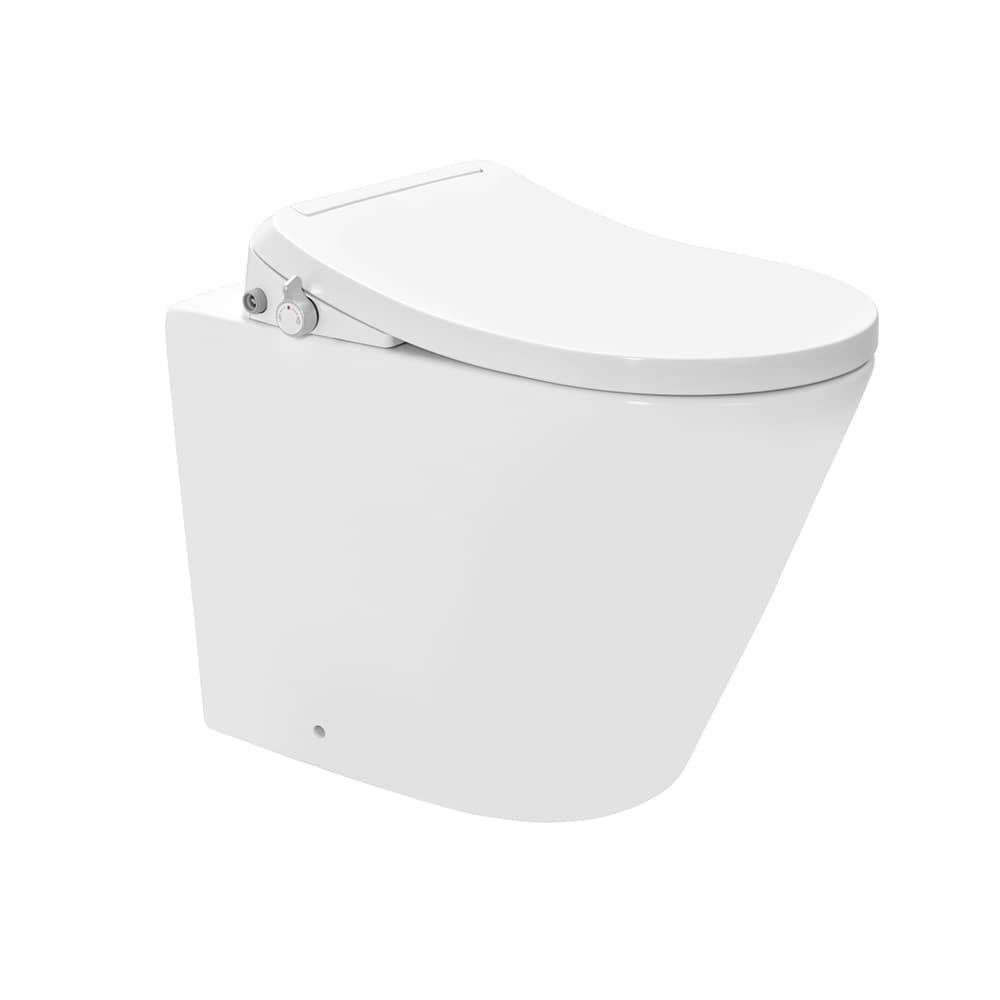 Фото Bidspa безободковый Back To настенный WC