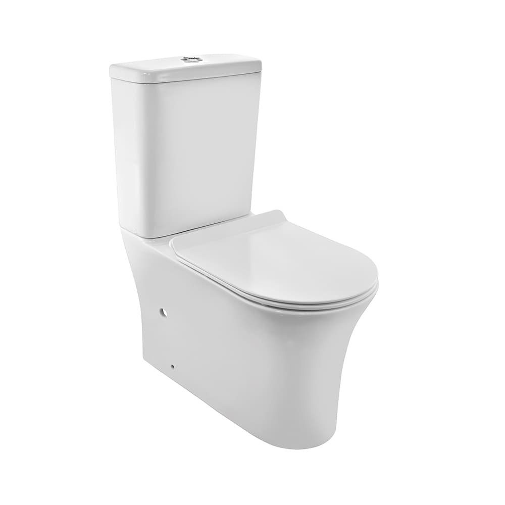 Фото Безободковый Bowl с Cistern для Coupled WC