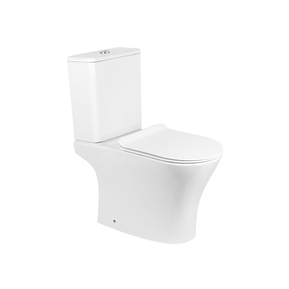 Фото Безободковый Bowl с Cistern для Coupled WC